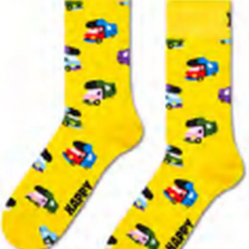 Camper Van Sock P006300