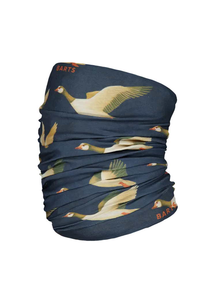 Multicol Geese