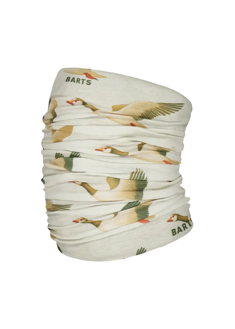 Multicol Geese