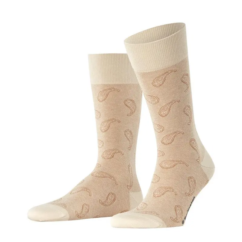 Paisley SO 21207