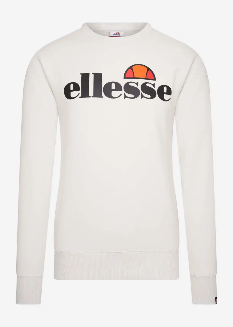 Sl succiso sweatshirt - light grey