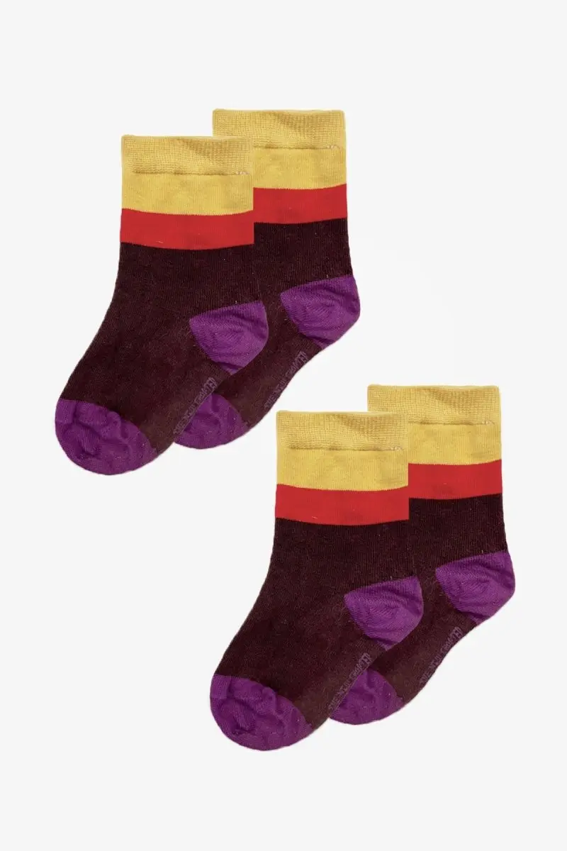 Two-Pack Vesper The New Chapter Socks Vineyard Wine