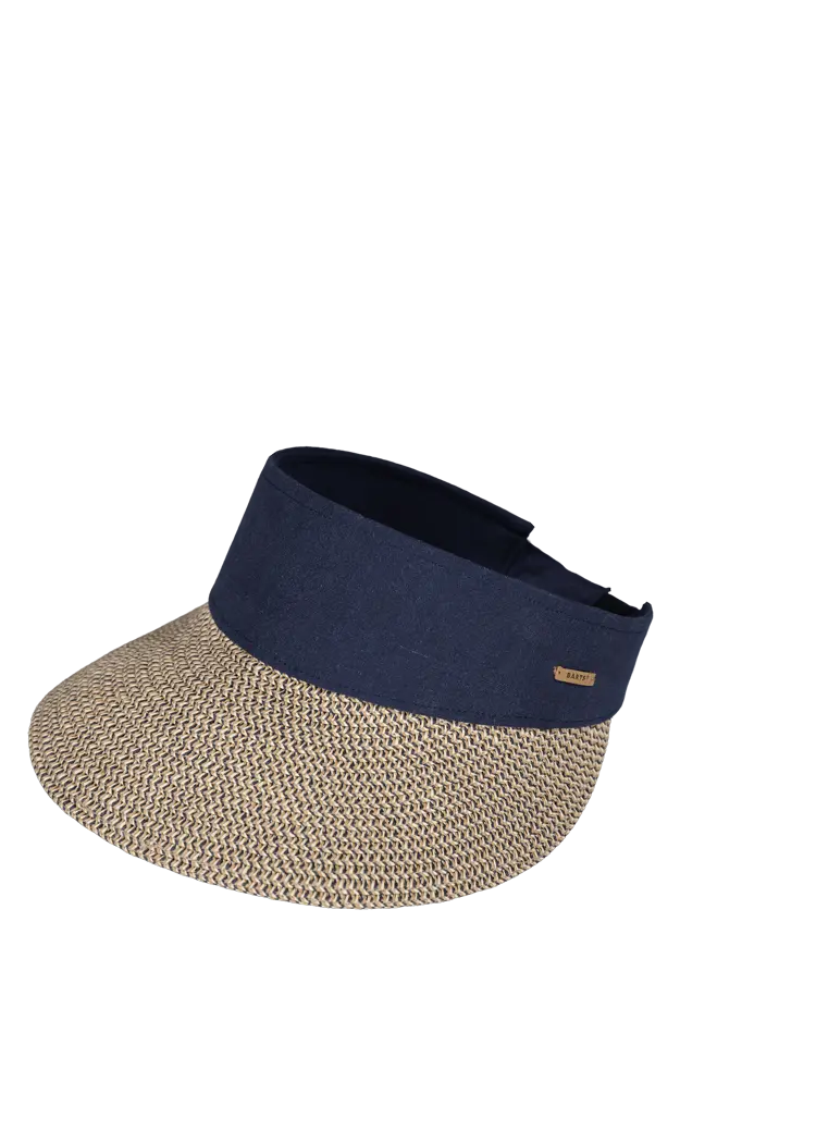 Vesder Visor